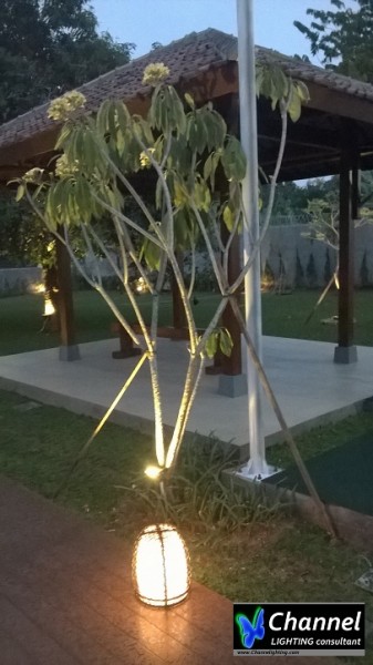 Decorative Landscape Lighting