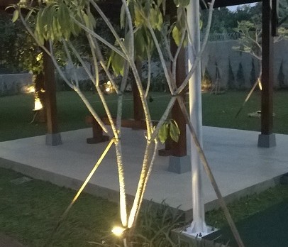 Decorative Landscape Lighting